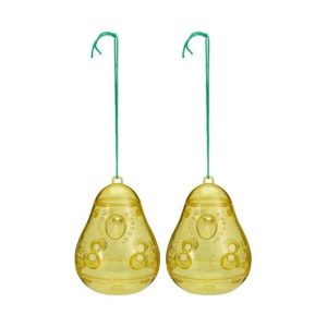 Pro Garden Wespenvanger 10x13.5 cm 2 Stuks