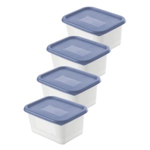 Rotho Domino Diepvriesdozen Etiket Decor 4x0.75L Horizon Blauw/Wit