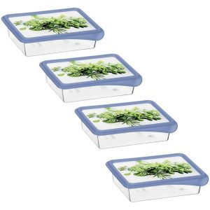Rotho RONDO Diepvriesdozen Verse Kruiden 4x0.2L Horizon Blauw/Transparant