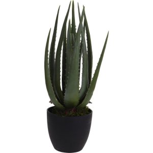 Kunstplant Aloë Vera 25x45 cm Groen
