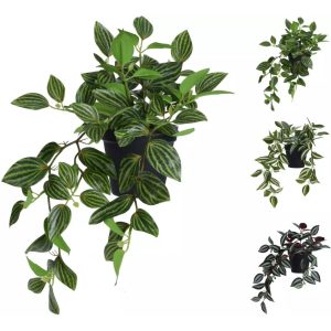 Kust Hangplant Tradescantia in Pot 42 cm Assorti