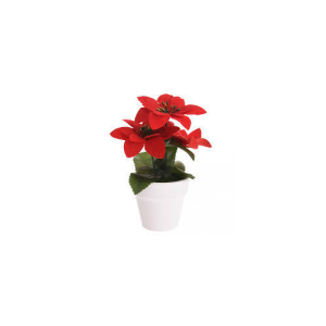 Kerstplant Rood Pot Keramiek